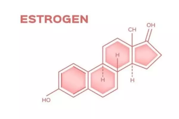 estrogen-la-mot-trong-hai-hormone-sinh-duc-chinh-o-nu-gioi.webp